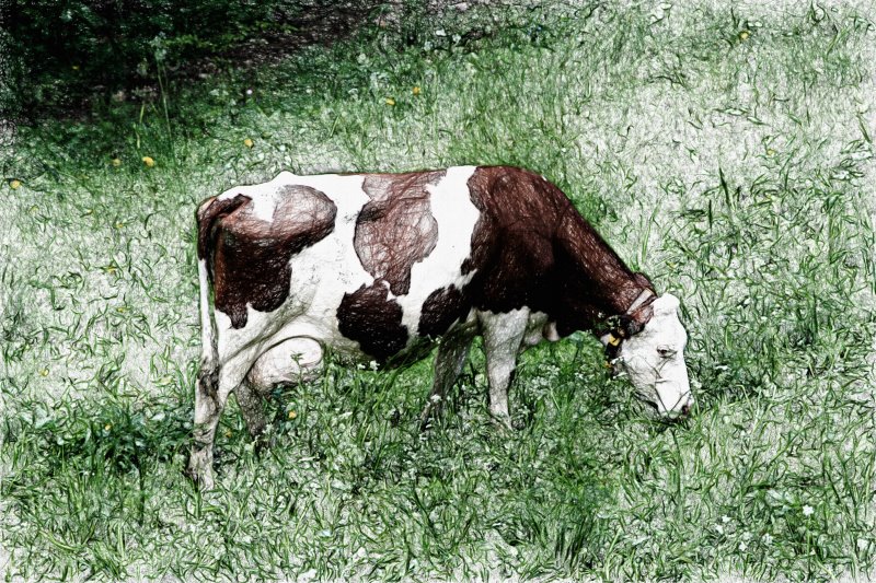 vaches_-_014_photographic_canvas.jpg