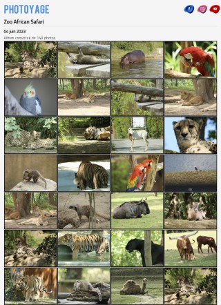 Zoo African Safari- 04 juin 2023