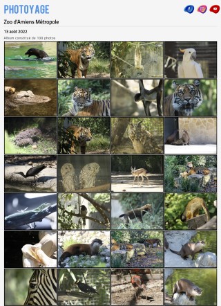 Zoo d'Amiens - 13 août 2022