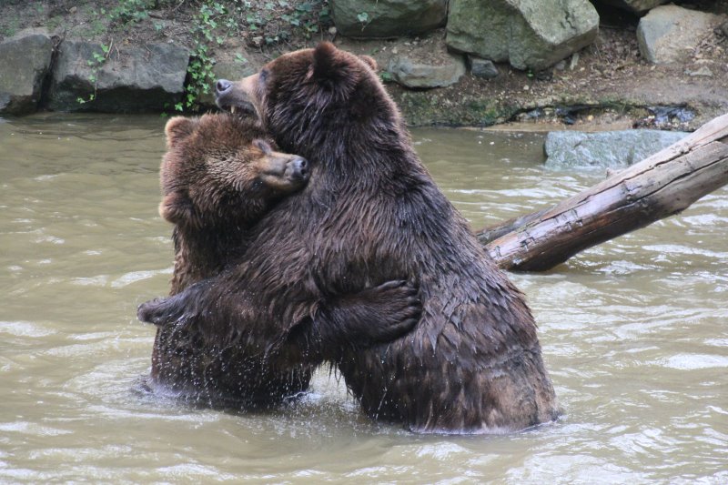 zoo_de_la_fleche_-_14_et_15_avril_2017_-_4129.jpg