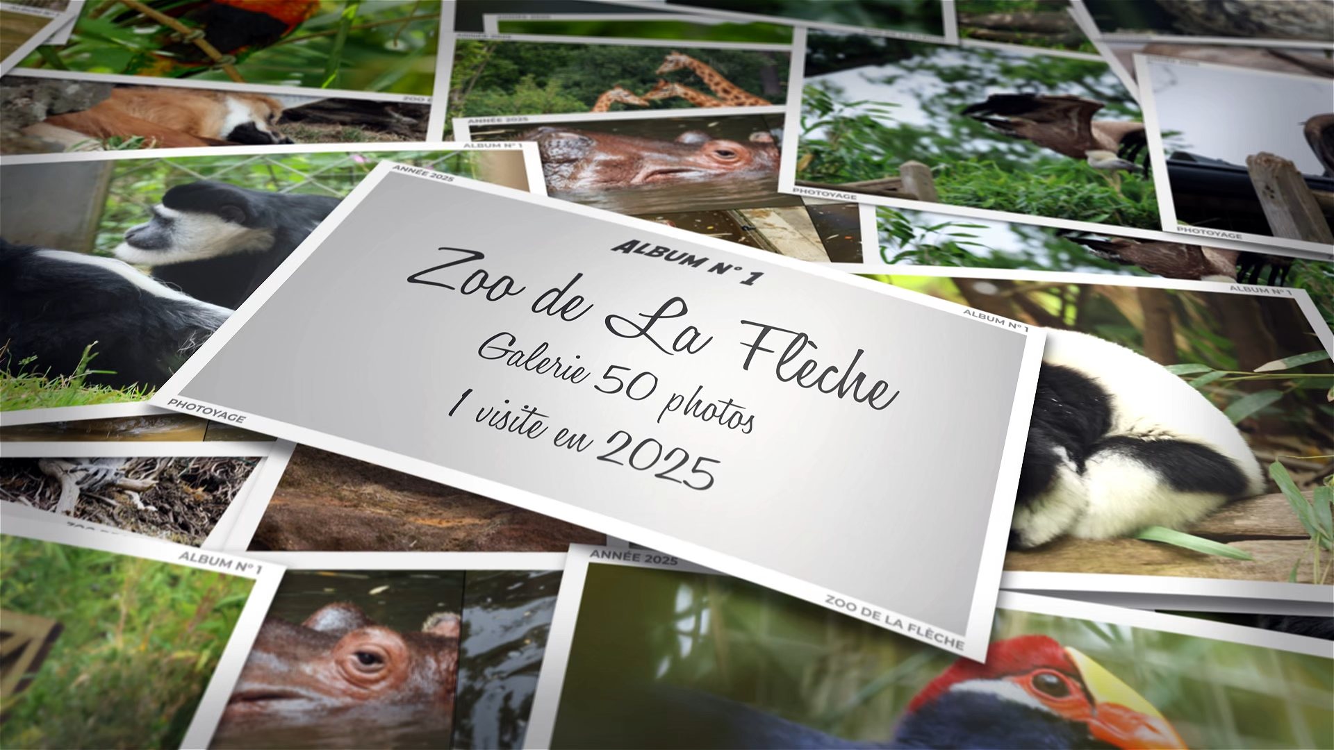 Zoo de La Flèche - Année 2025 - Album 01