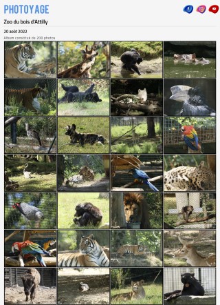 Zoo du bois d'Attilly  - 20 août 2022
