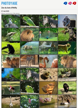 Zoo du bois d'Attilly  - 01 mai 2025
