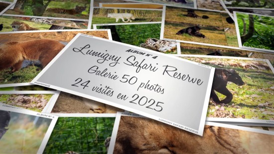 Lumigny Safari Reserve - Année 2025 - Album 04