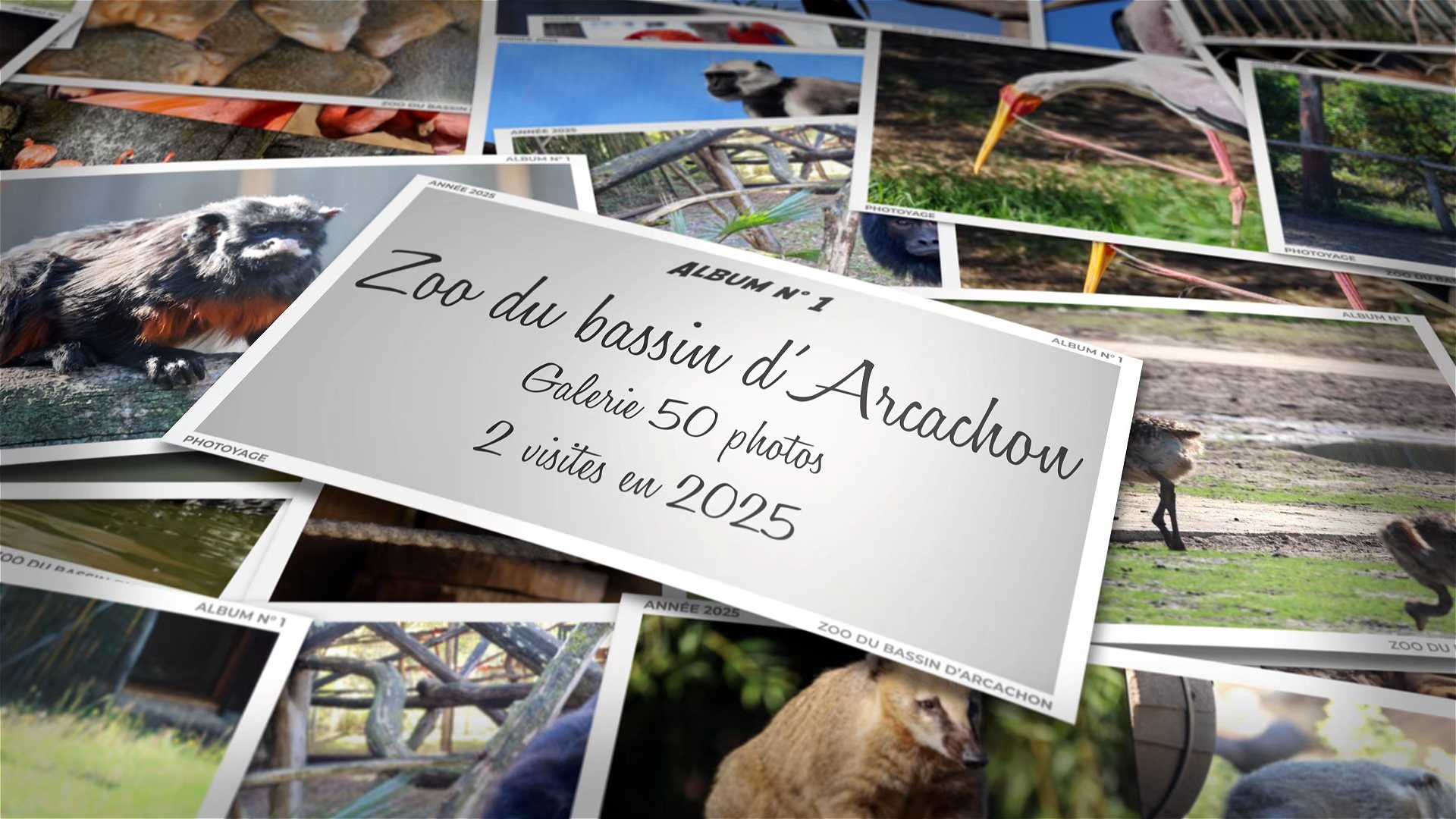 Zoo du bassin d'Arcachon - Année 2025 - Album 01