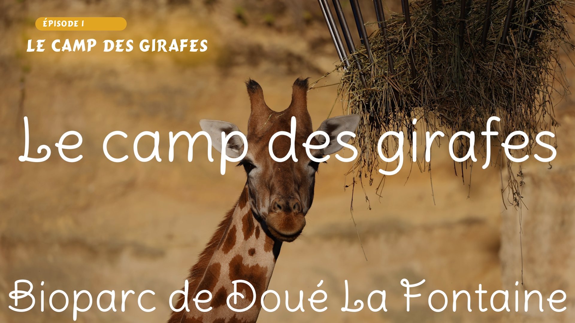 La camp des girafes - Épisode 1