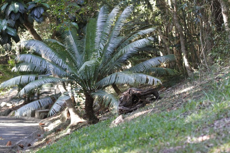 Parc zoologique et forestier Michel Combasson