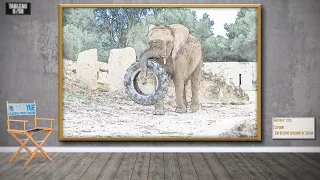 Cliquez sur l'image pour lancer la vidéo