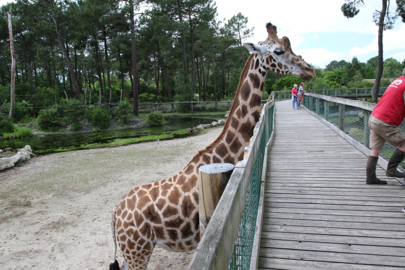 Zoo du Bassin d'Arcachon