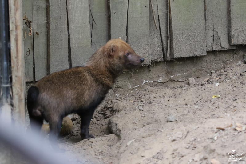 Zoo des Sables d'Olonne