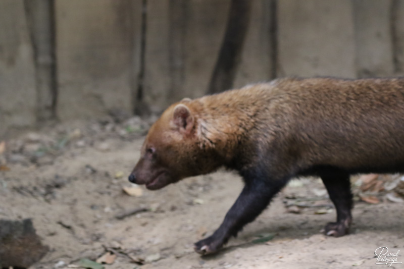 Zoo des Sables d'Olonne