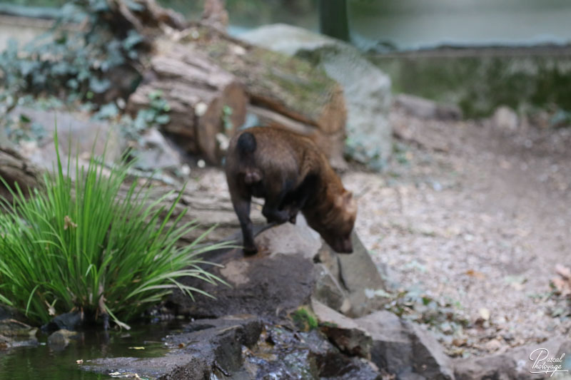 Zoo des Sables d'Olonne