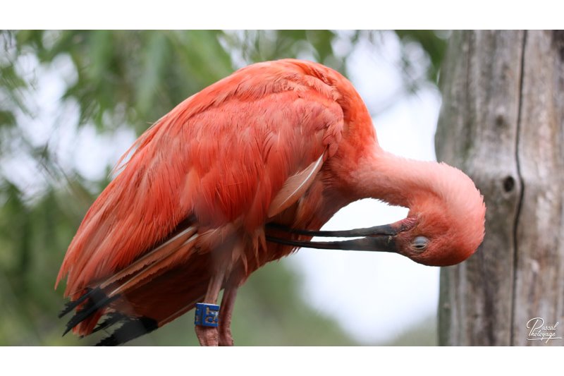 Zoo des Sables d'Olonne