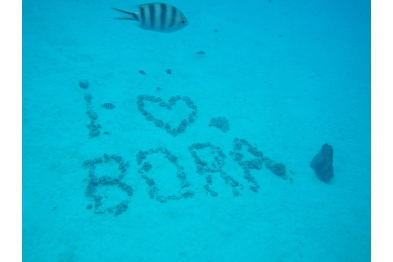 Lagoonarium de Bora Bora