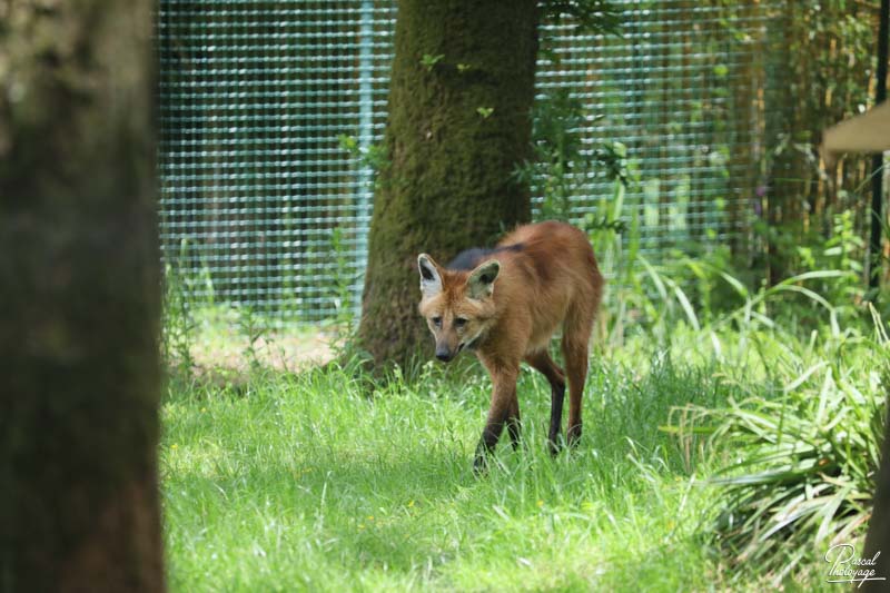 Zoo de Jurques