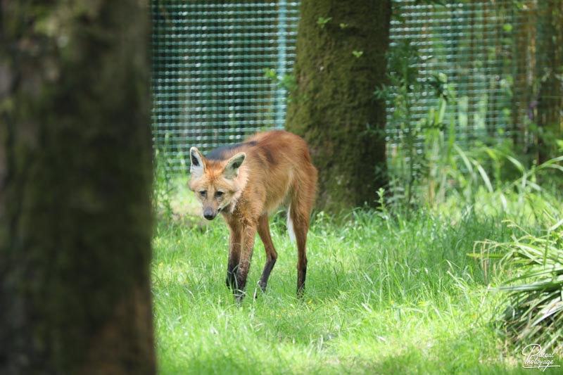 Zoo de Jurques