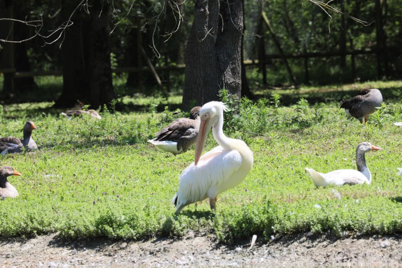 Marais aux oiseaux