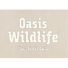 Logo Oasis wildlife
