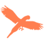 Les oiseaux