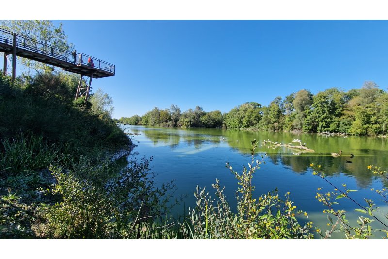 Parc des oiseaux