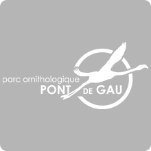 Logo parc ornithologique de Pont de Gau