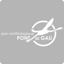 Logo Parc ornithologique de Pont de Gau