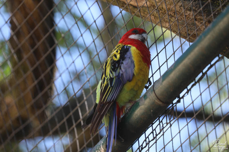 Zoo de La Palmyre