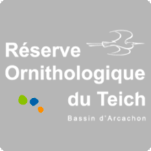 Logo réserve ornithologique du Teich