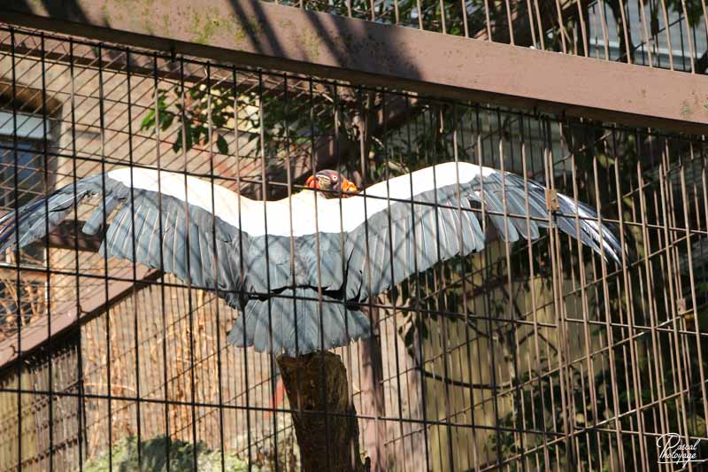 Ménagerie du jardin des plantes