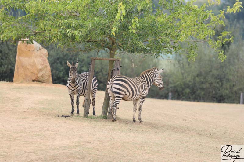 Zoo de La Boissière du Doré