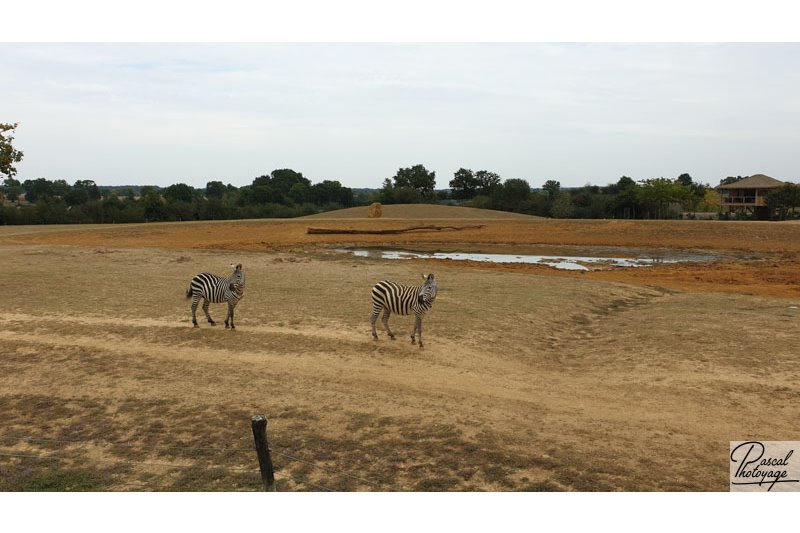 Zoo de La Boissière du Doré