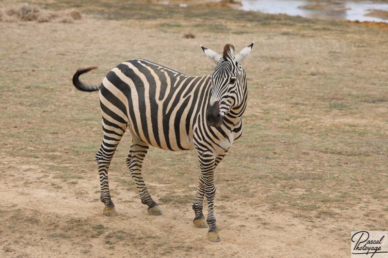 Zoo de La Boissière du Doré