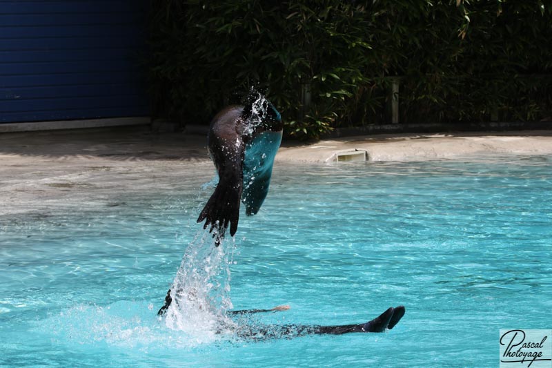 Zoo de La Flèche