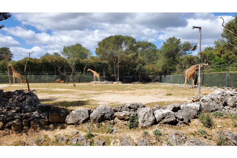 Zoo de Montpellier