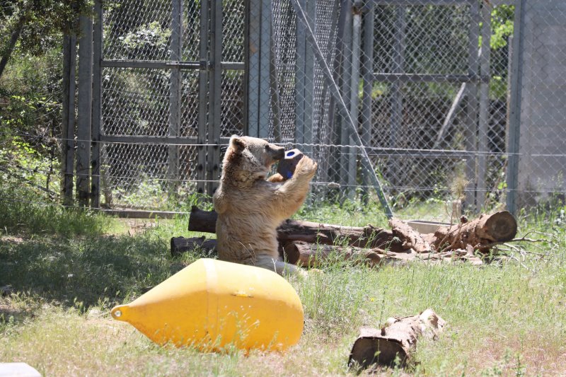 Zoo de Montpellier