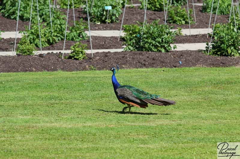 Zoo deMulhouse