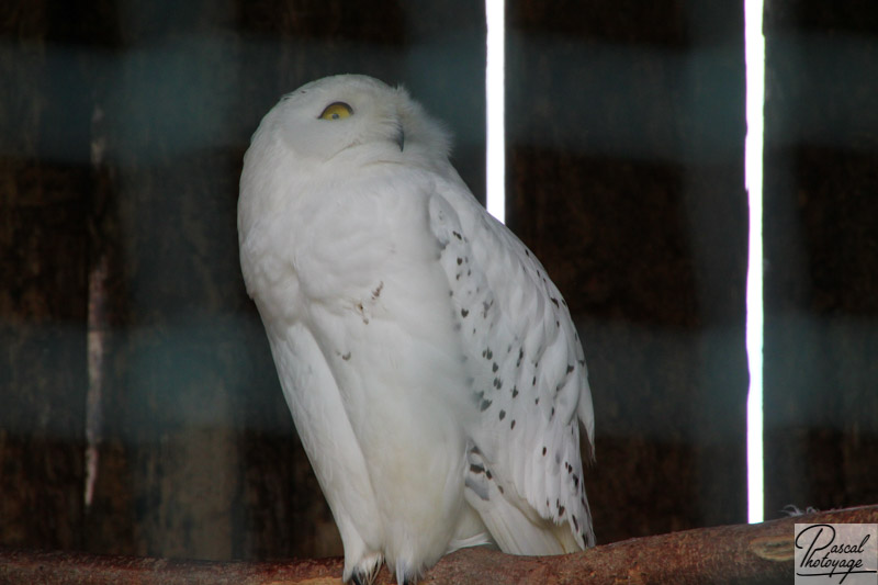 Zoo de La Boissière du Doré