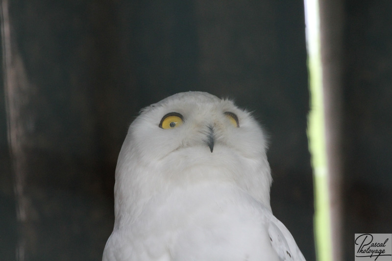 Zoo de La Boissière du Doré