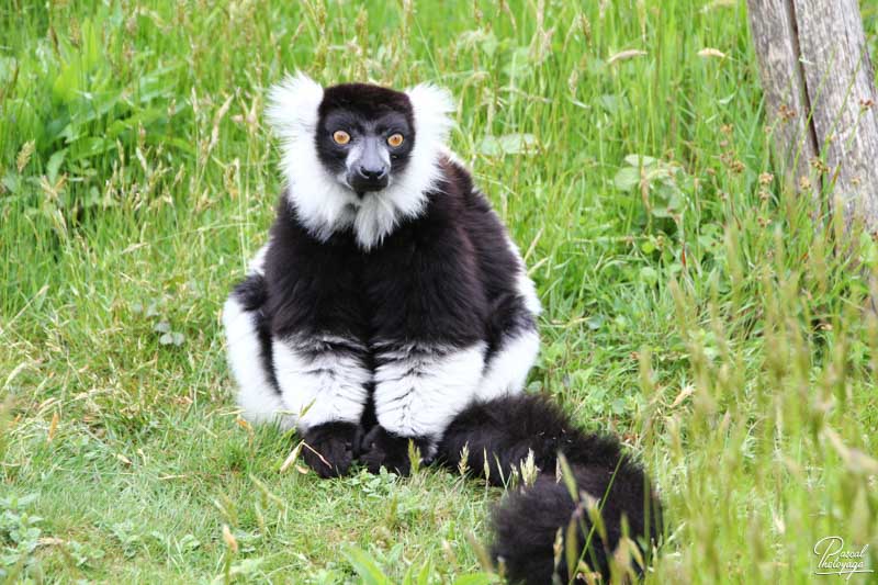 Zoo de La Boissière du Doré