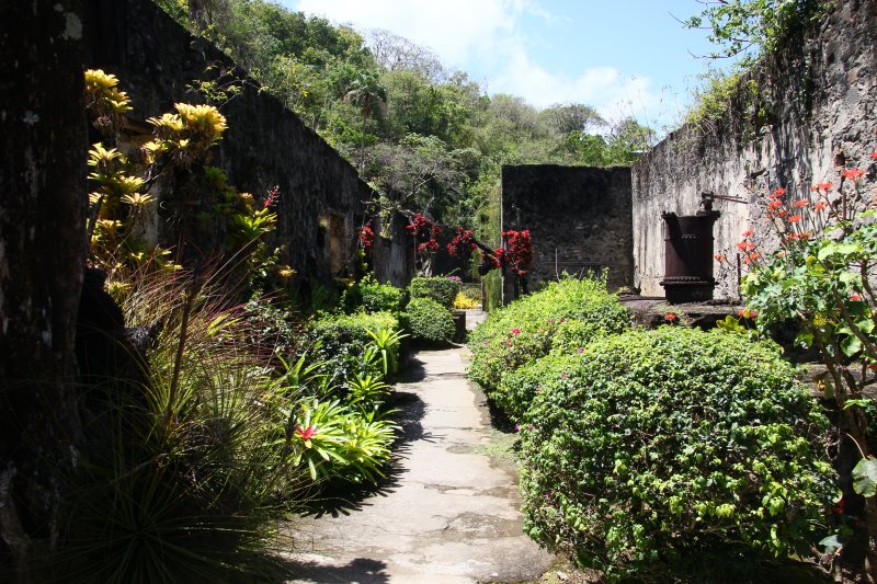 Zoo de Martinique